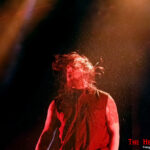 The Rock Circus 2023: Ingested